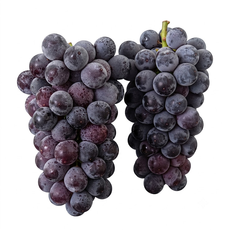거봉포도 2kg