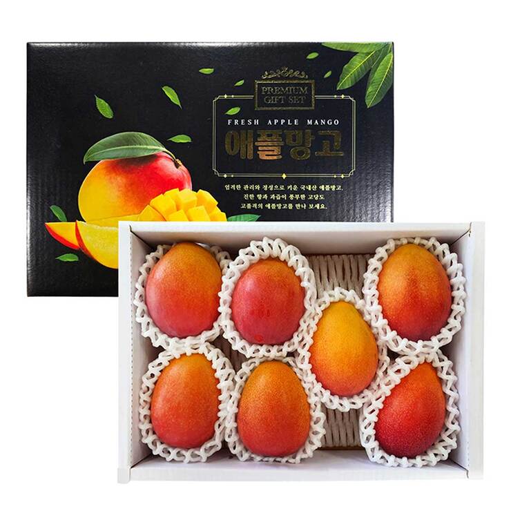 제주애플망고3kg (6~8입)